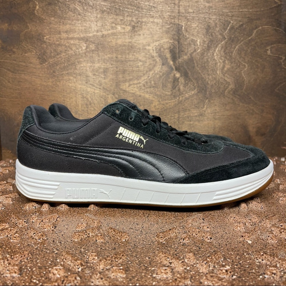 Puma Argentina Football Canvas